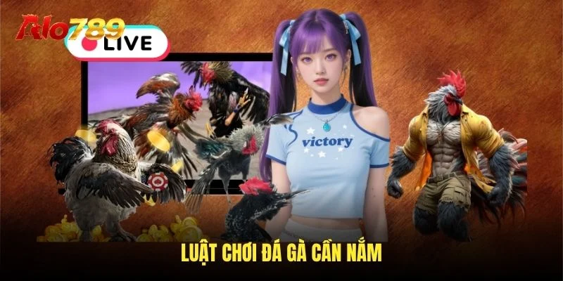 Luật chơi đá gà cần nắm Luật chơi đá gà cần nắm