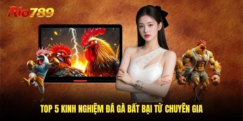 Top 5 kinh nghiệm đá gà bất bại của chuyên gia Top 5 kinh nghiệm đá gà bất bại của chuyên gia
