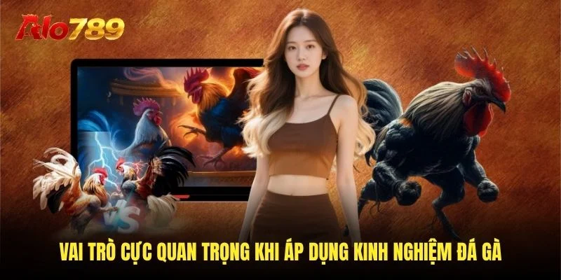 Vai trò cực quan trọng khi áp dụng kinh nghiệm đá gà Vai trò cực quan trọng khi áp dụng kinh nghiệm đá gà